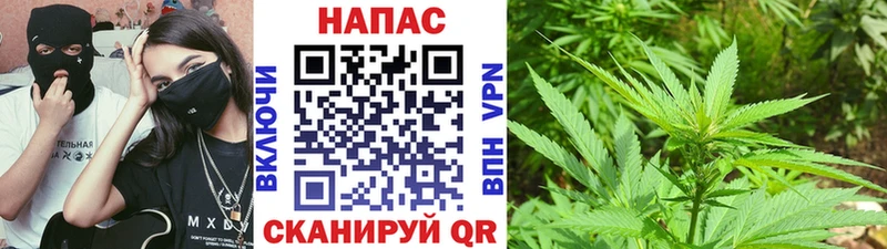 Купить закладки  Красноуральск  Каннабис семена 